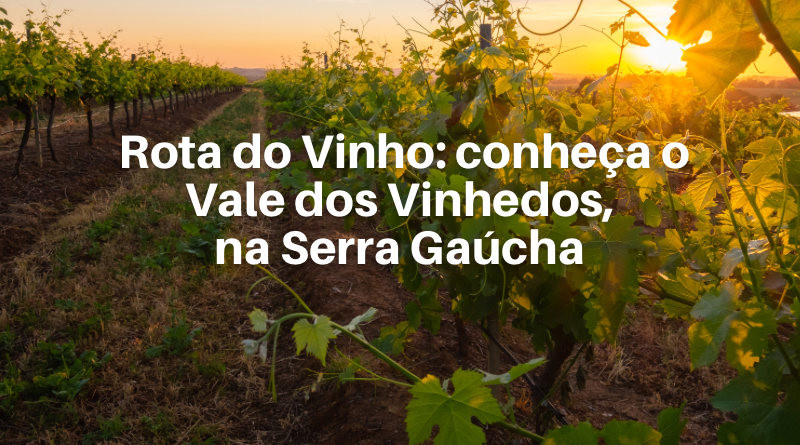 Rota do Vinho do Vale dos Vinhedo